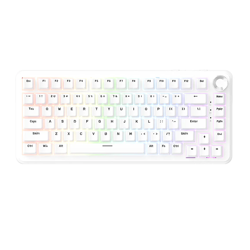 AJAZZ AK820 MAX HE Esports magnetic axis Keyboard RGB DIY version 8K return rate wired version - Image 24